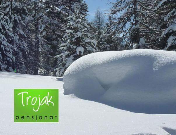 Pensjonat Trojak Lądek-Zdrój Εξωτερικό φωτογραφία